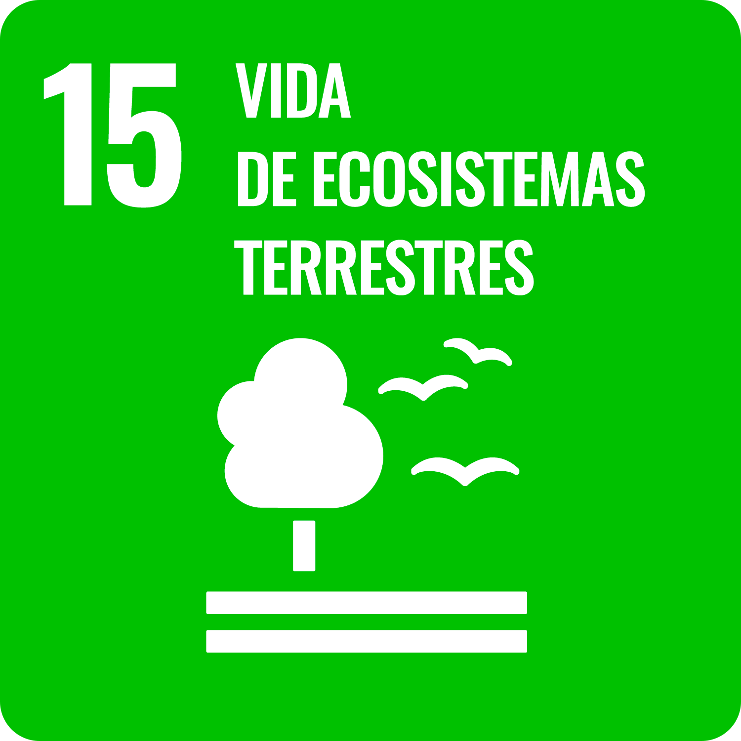 Vida de ecosistemas terrestres